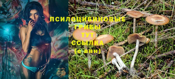 соль ск Липки