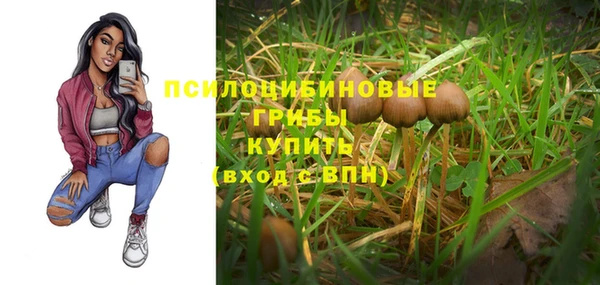 соль ск Липки